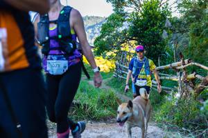 BIB: 1071, 2500
                            <button type="button" onclick="openModal(19041802)" class="btn btn-primary btn-sm float-right btn-popup" data-toggle="modal" data-target=".modal-high-quality">
                        <i class="fas fa-shopping-cart"></i> Add to Cart
                    </button>
                                            <button type="button" onclick="isThisMe(19041802, true)" class="btn btn-success btn-sm float-right btn-popup btn-isme hidden" data-toggle="tooltip" data-placement="bottom" title="นี่คือรูปของคุณใช่ไหม คลิกที่นี่เพื่อเอาเข้าอัลบั้ม">
                        <i class="fas fa-plus"></i> Add to album
                    </button>
                    <button type="button" onclick="isThisMe(19041802, false)" class="btn btn-warning btn-sm float-right btn-popup btn-isnotme hidden">
                        <i class="fas fa-ban"></i> Remove from album
                    </button>